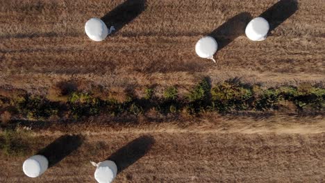 Warm-sunny-field-with-white-plastic-wrapped-hay-bales,-top-down-zoom-in-drone-shot