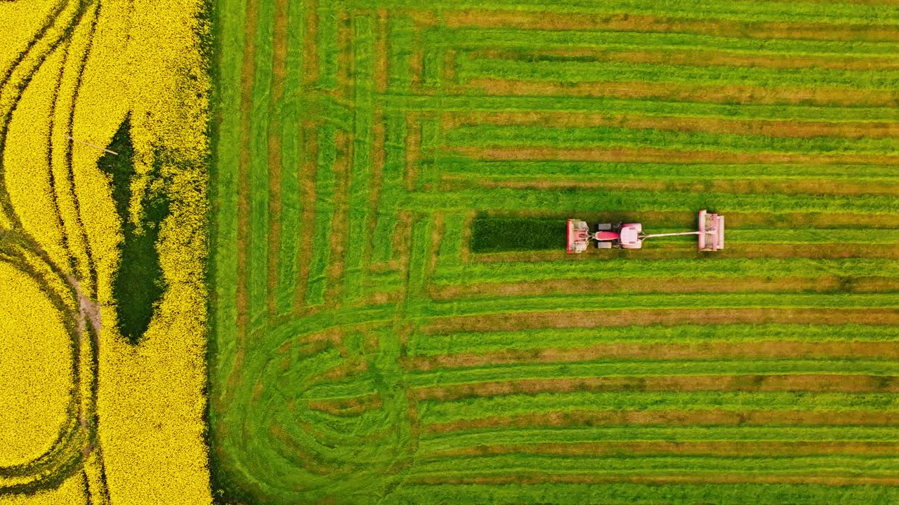 Aerial of machine mowing green strips next to rapeseed under warm Baltic sky