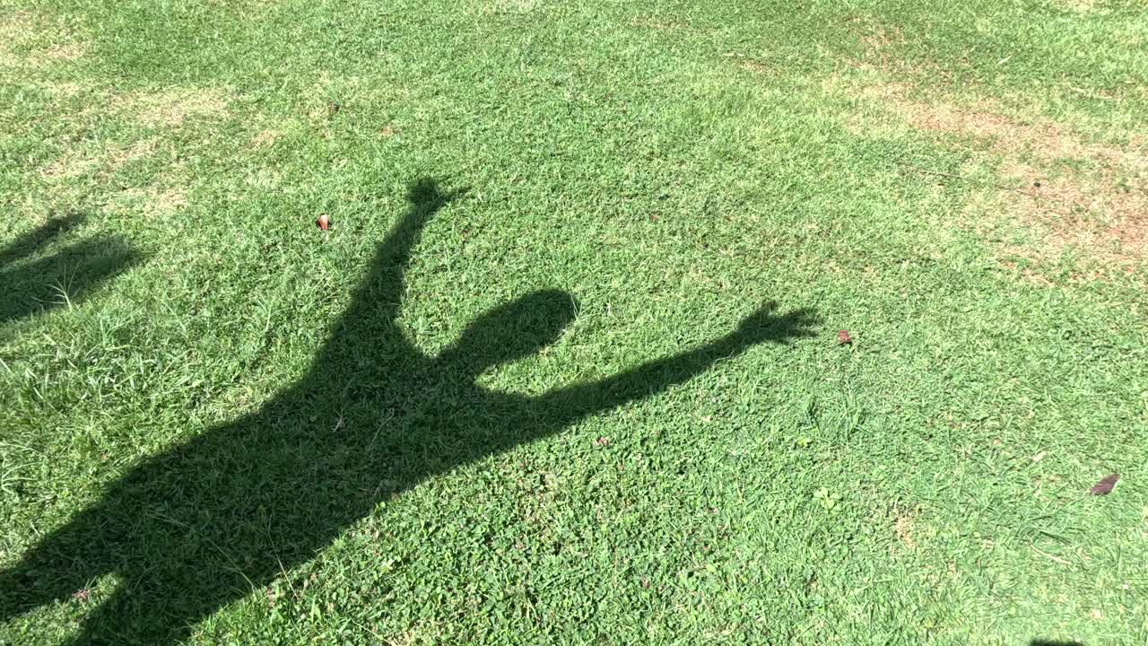 사람의 그림자는 풀 위에서 포즈를 바니다.