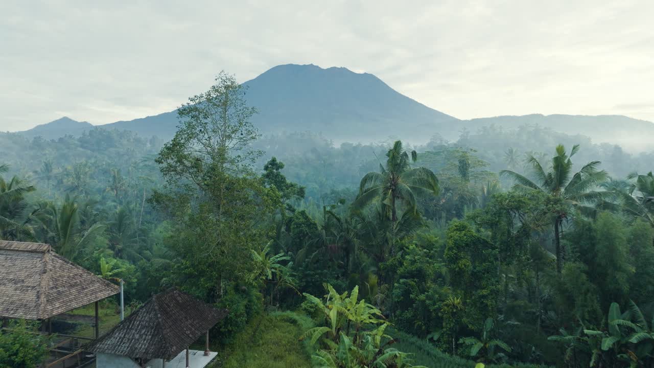 4K drone tracking shot over flooded rice fields in Sidemen, Bali, with Mount Agung volcano in the distance. Traditional farming and Balinese rural life captured from above.