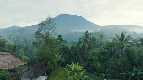 4k drone tracking shot over flooded rice fields in sidemen, bali, with mount agung volcano in the distance. traditional farming and balinese rural life captured from above.