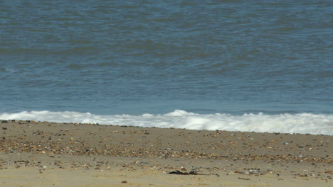mid shot of the waves crashing on to walcott beach