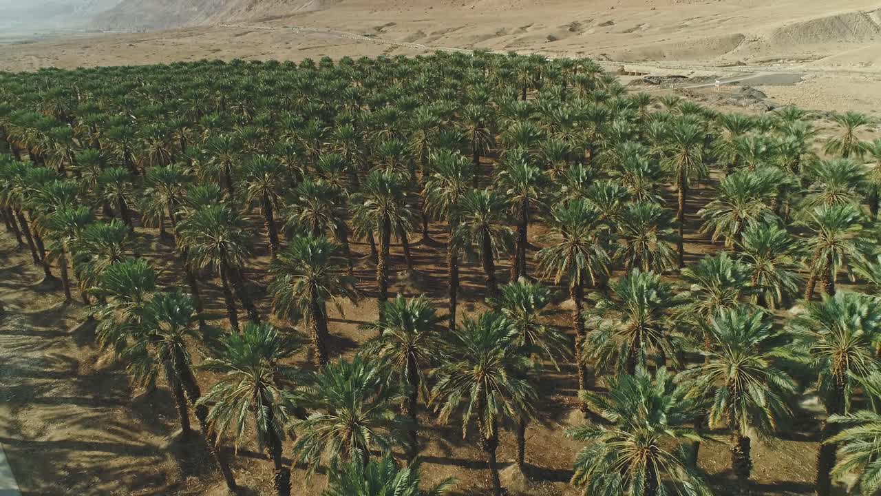 Aerial footage of black cars driving on a remote desert road
