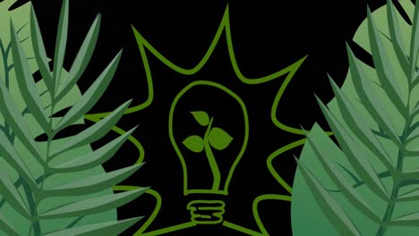 animation of bulb over leaves on black background