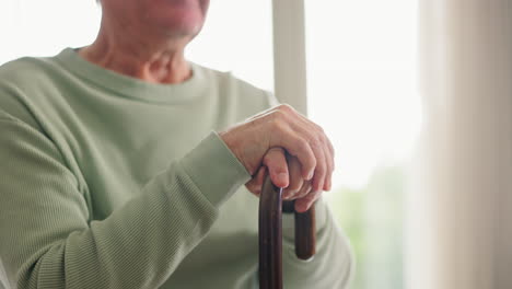 closeup, hands and elderly man with a cane