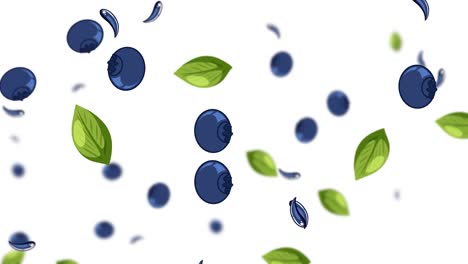 blueberries and leaves pattern