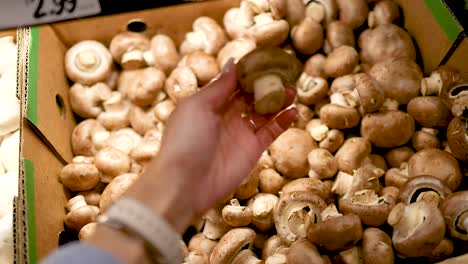 a hand selects and examines cremini mushrooms in a well-lit supermarket setting, highlighting freshness and quality