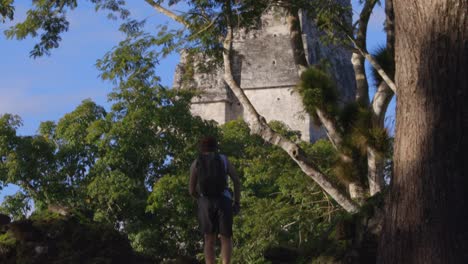 tourist visiting ancient mayan ruins temple pyramid guatemala jungle