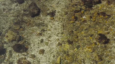 ondas en la superficie de una piscina de marea clara y poco profunda esparcidas con rocas aéreas de arriba hacia abajo