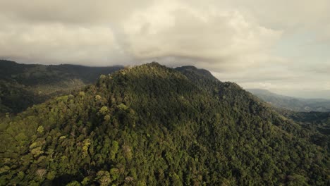 drone over the remote wild jungle in costa rica during sunset in 4k