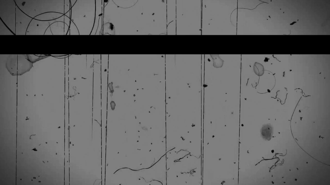 Vintage Film Grain Overlay with Scratches and Dust