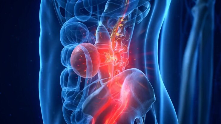 Medical animation showing spinal nerve compression pain in a translucent blue human body with a glowing red-orange highlight at the pain area