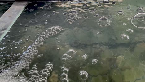 progression of bubbles forming on water surface