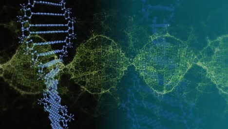 animación de cadenas de adn girando sobre cadenas de adn girando