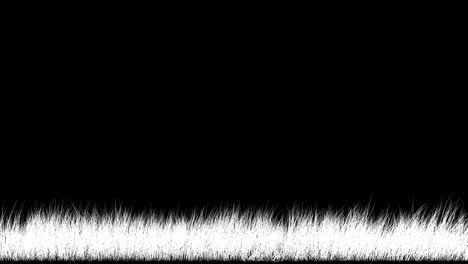 la hierba vieja se balancea en el viento. bucle sin costuras (bucle). fondo transparente, canal alfa y máscara alfa mate 59,94 fps