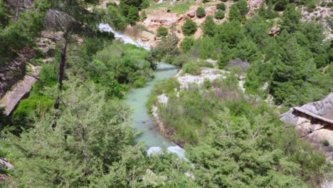 Río-Y-árboles-En-El-Chorro,-Al-Sur-De-España