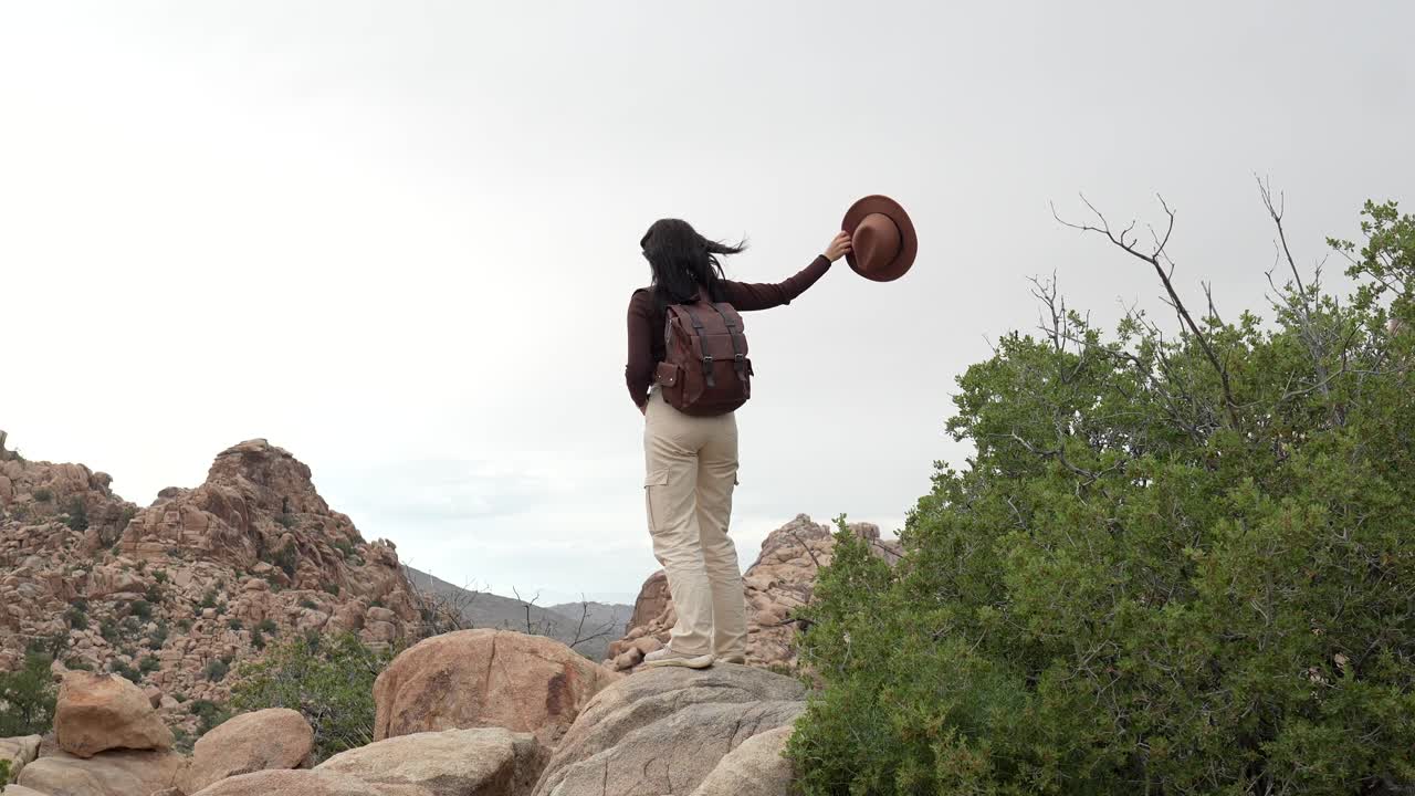 Female Hiker Standing on Rocks and Enjoying Desert View
