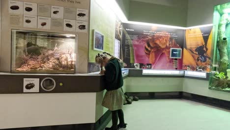 child exploring an educational exhibit at melbourne museum