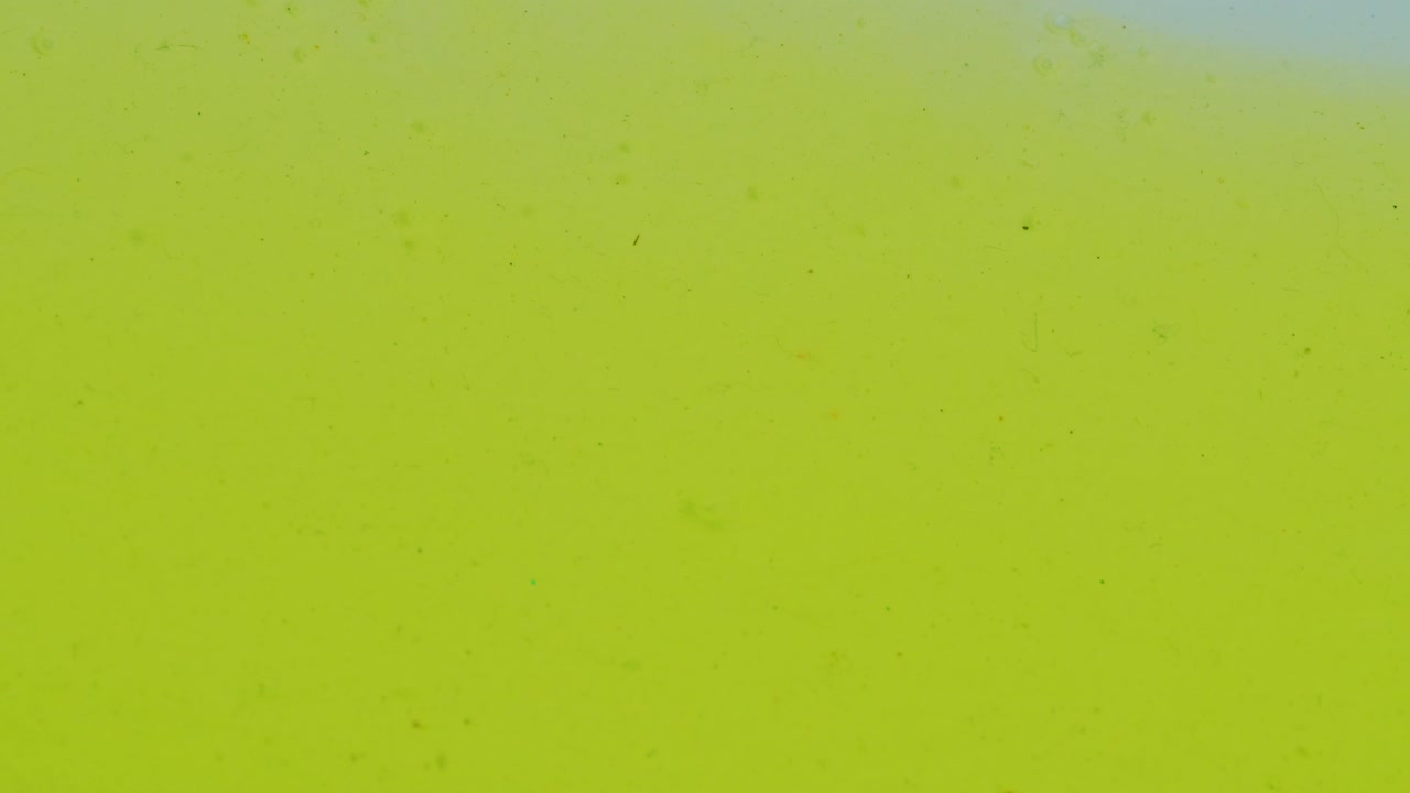 fluido amarillo grasiento derramado en la superficie