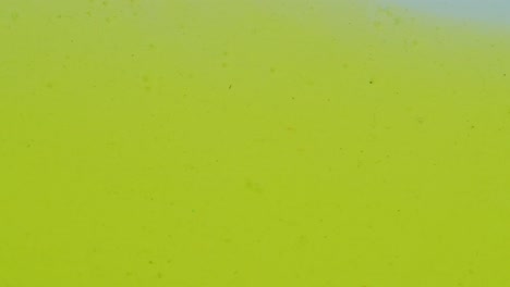 fluido amarillo grasiento derramado en la superficie