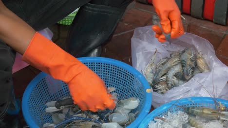 trabajador del puesto de comida del mercado de tailandia pelando camarones con la mano