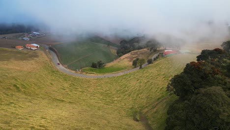 Toma-De-Drone-De-Niebla-Rodando-En-El-Campo-Costarricense