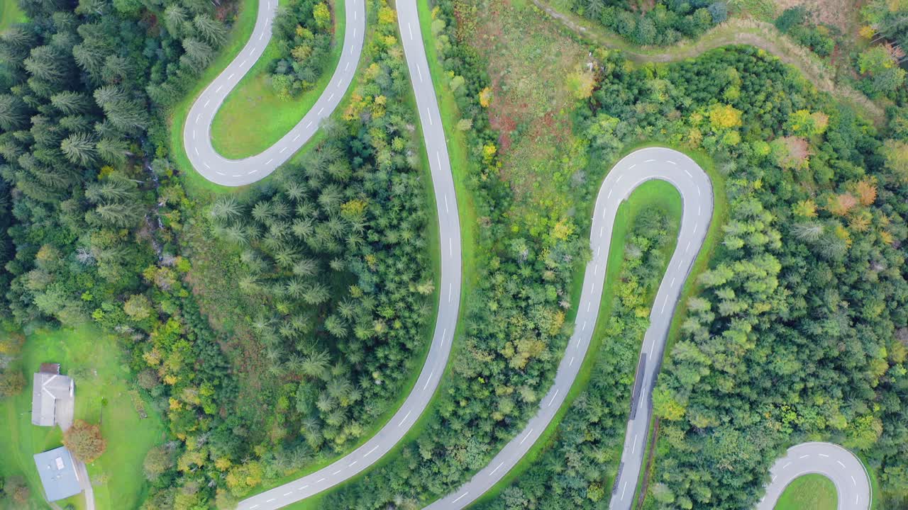 푸른 숲과 산을 통과하는 시골길의 조감도
