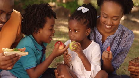close up of cute family is eating in a park
