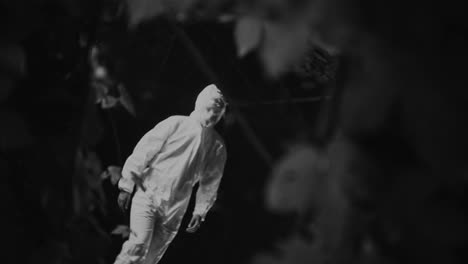 Grayscale images of leaves and a figure in protective suit.