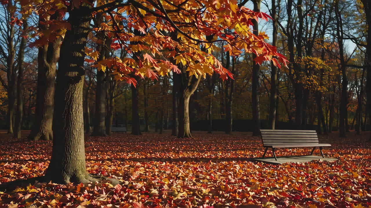 Autumn Park Scene with Colorful Leaves