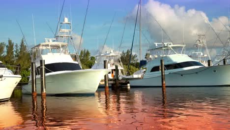 barcos isla mujeres 22