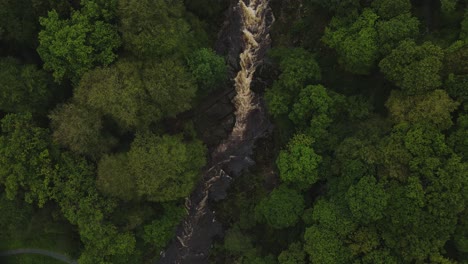 vista desde el punto de vista de las aves en ascenso toma de avión no tripulado del poderoso río yorkshire rodeado de árboles en otoño