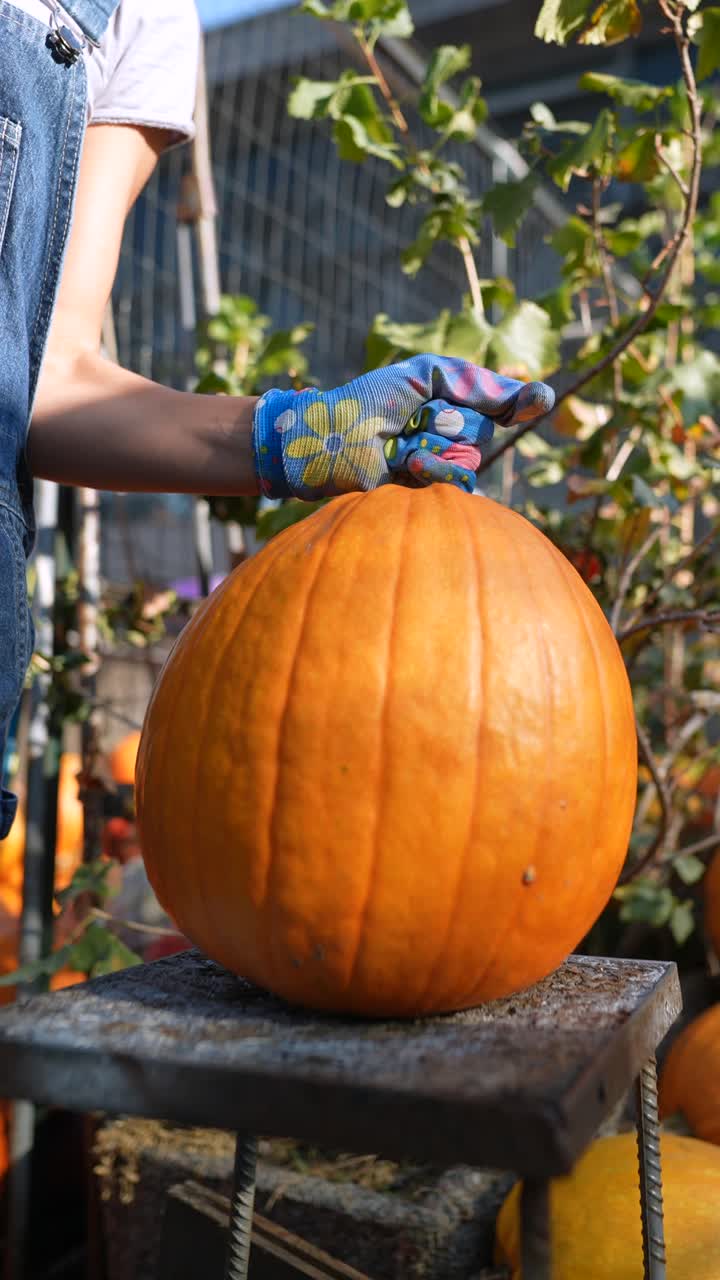 una mujer recogiendo una calabaza.