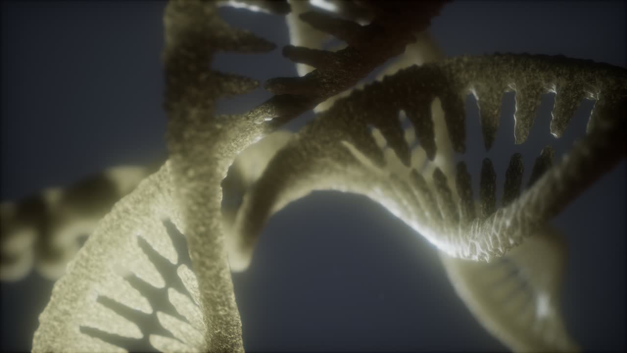 dna 가닥의 이중 루프 나선형 구조 클로즈업 애니메이션