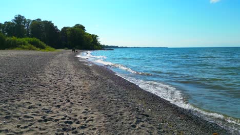 hermoso día de verano en una playa de arena con