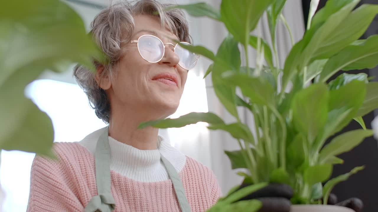 Happy Senior Woman Enjoying Houseplants