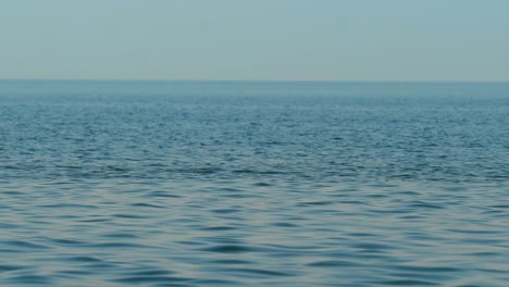 blue sea surface. nature background loop