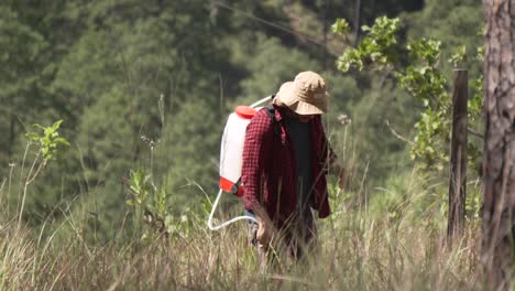 Hombre-En-El-Bosque-Regando-árboles-Nuevos-Con-Pulverizador-De-Mochila