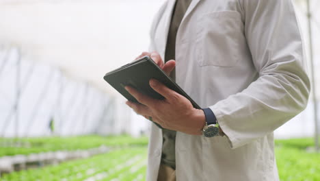 invernadero, tableta y investigación con primer plano