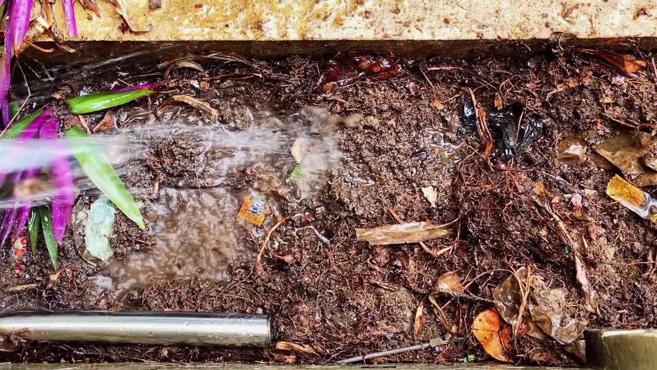 regar las plantas en el pequeño jardín frente a la casa