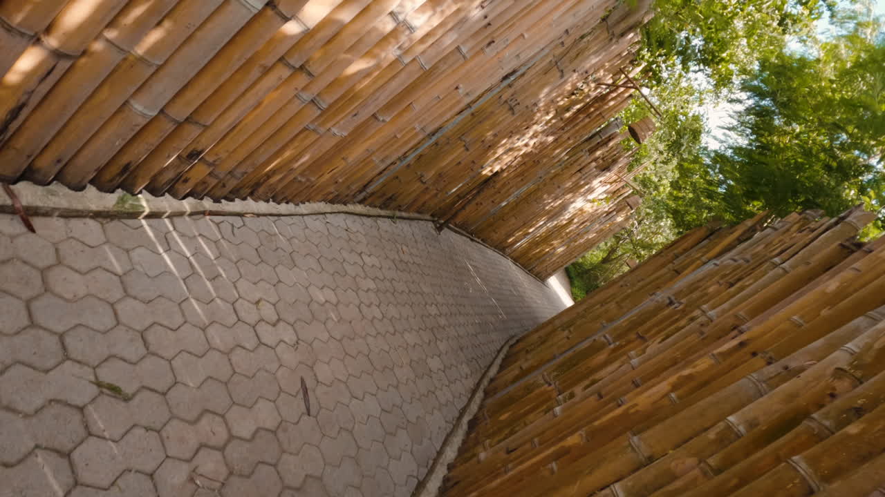 camino de valla de bambú girando gimbal tiro de seguimiento hacia adelante