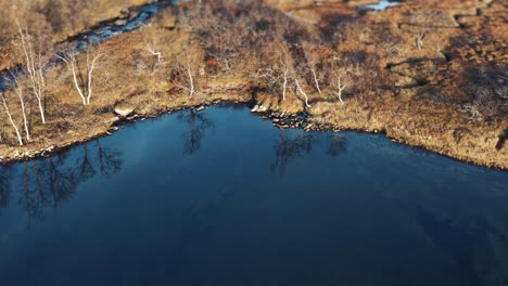 aerial view of the swampy wetlands in northern norway