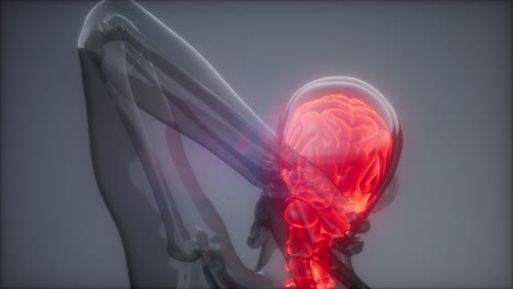 dolor de espalda en los huesos de la espalda