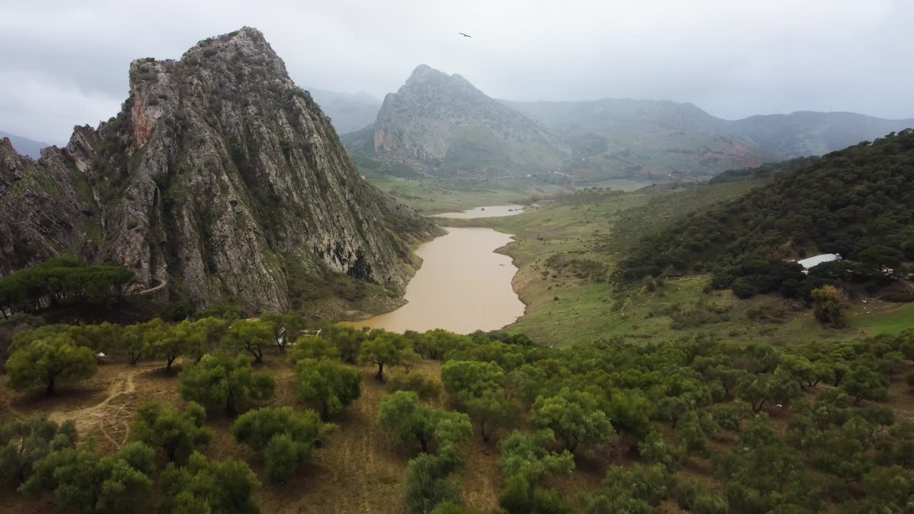 pájaro solitario volando sobre el majestuoso bosque y el paisaje montañoso de españa