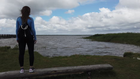 mujer en tronco admira la belleza de la laguna y el paisaje