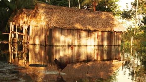 two huts next to the banks of the amazon river form the homes of the native indians