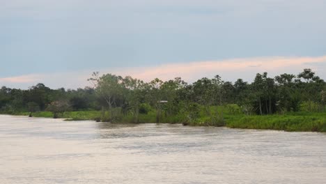 Blick-Entlang-Des-Amazonas