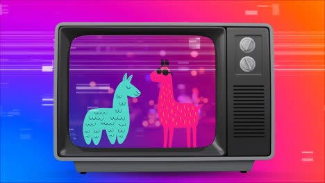 Old-TV-with-llamas-on-the-screen-against-colorful-scrambled-effect