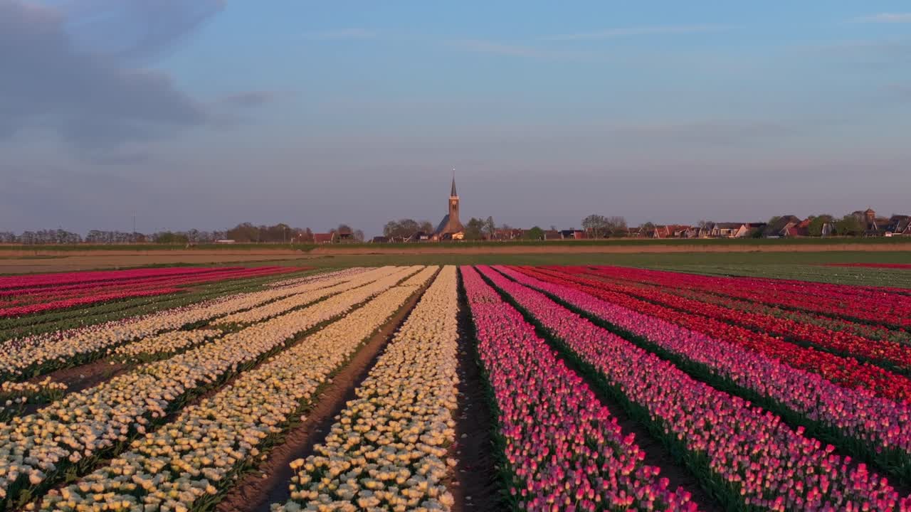 Vista aerea di vivaci file floreali con una chiesa nella campagna olandese