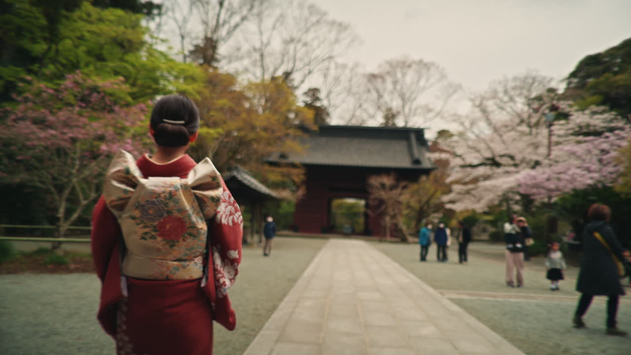 Woman in Kimono at Japanese Temple with Cherry Blossoms